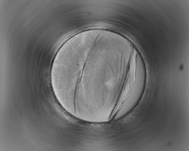 X0000116140850201001041031