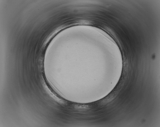 X0000116140851201001041031