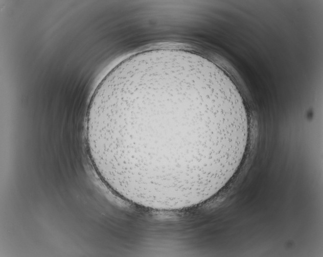 X0000116140852201001041031