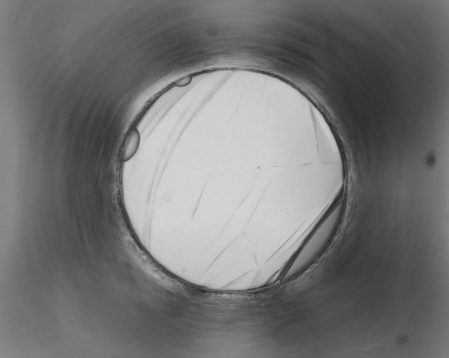 X0000116140854201001041031