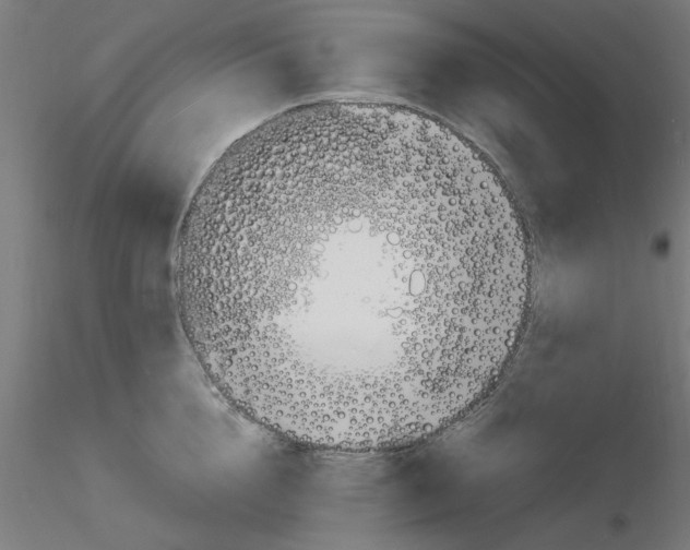 X0000116140856201001041031