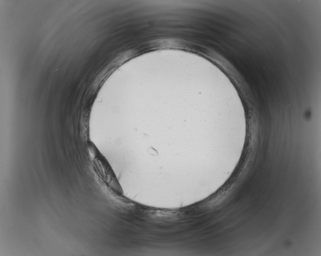 X0000116140857201001041031