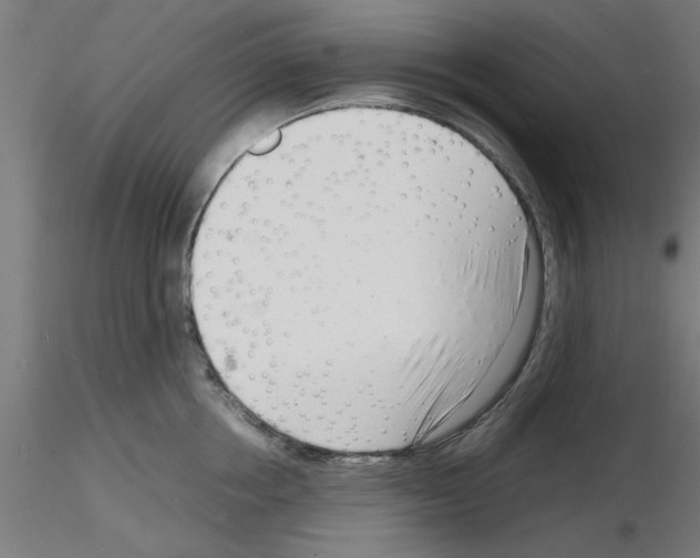 X0000116140858201001041031