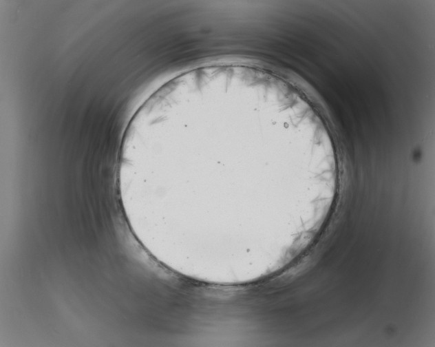 X0000116140860201001041031