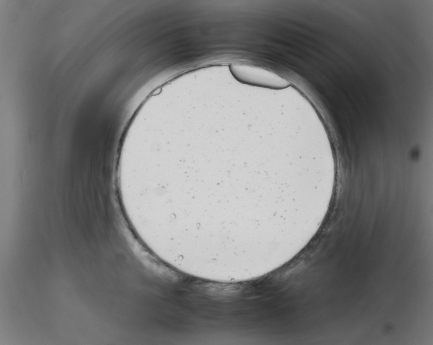 X0000116140861201001041031