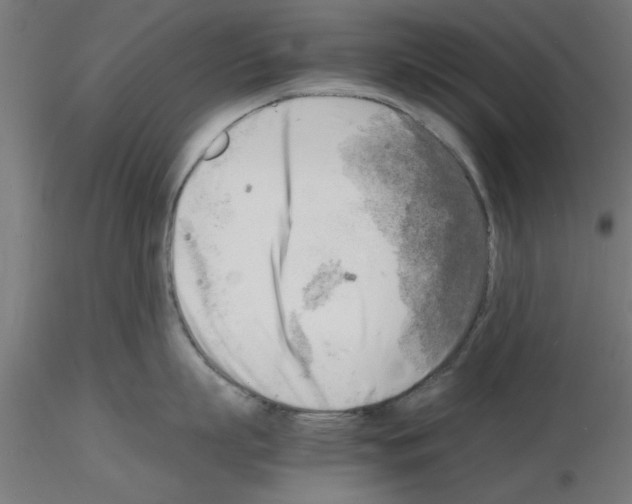 X0000116140863201001041031