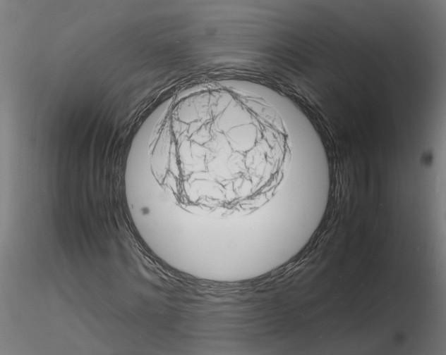 X0000116140868201001041030