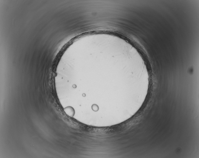 X0000116140875201001041030