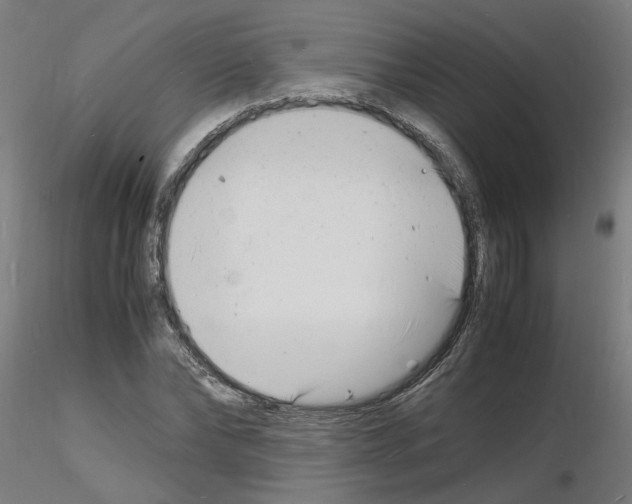 X0000116140878201001041030