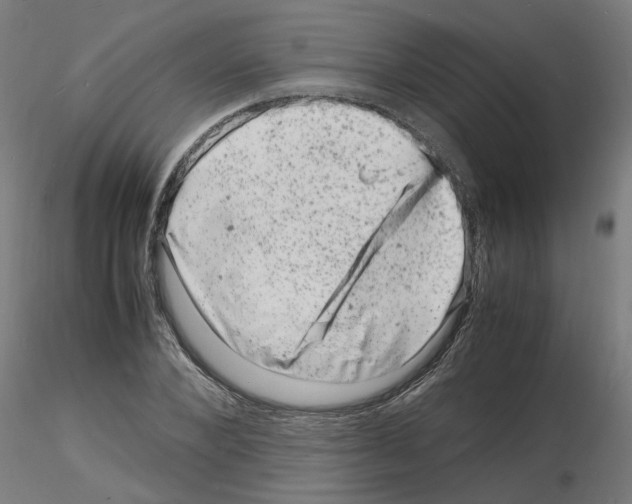 X0000116140880201001041030