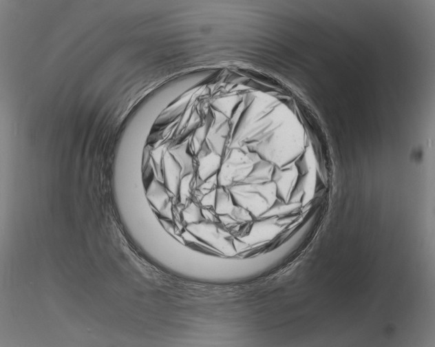 X0000116140881201001041030