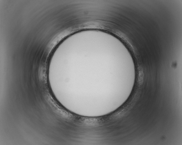 X0000116140882201001041030