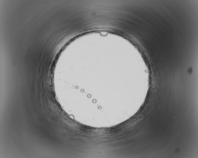 X0000116140883201001041030