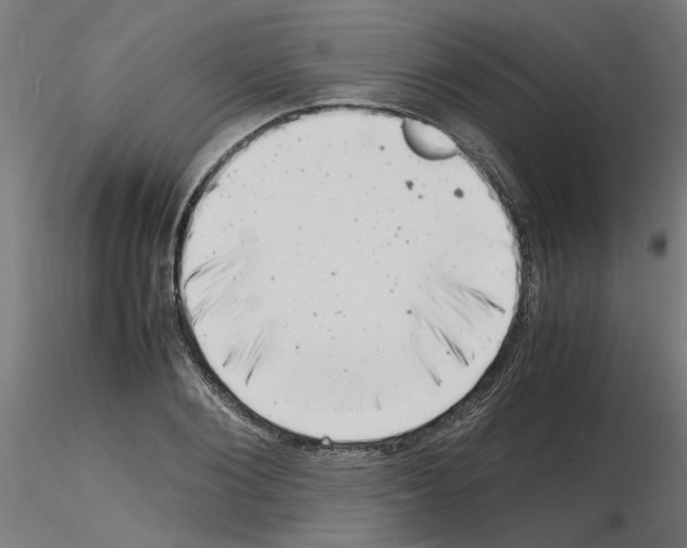 X0000116140884201001041030