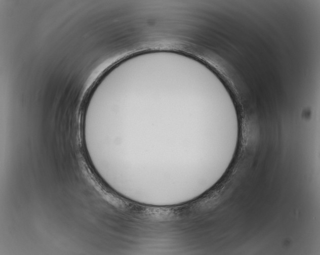 X0000116140886201001041030