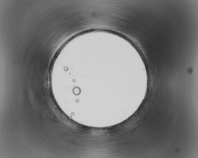 X0000116140887201001041030