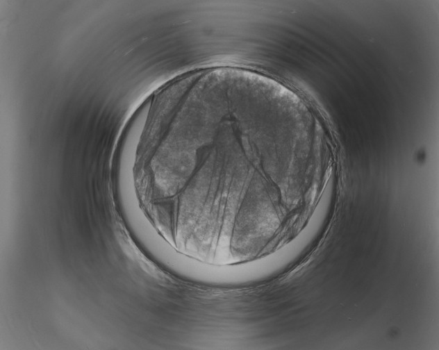 X0000116140892201001041030