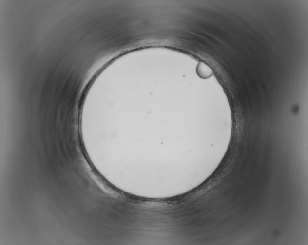 X0000116140894201001041030