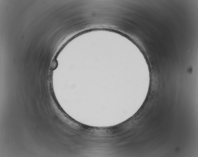 X0000116140895201001041030