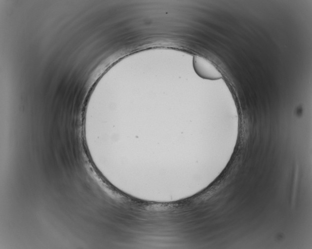 X0000116140898201001041030