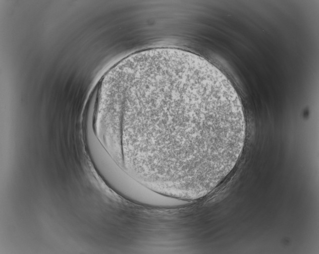 X0000116140900201001041030