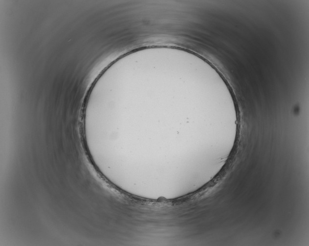 X0000116140901201001041030