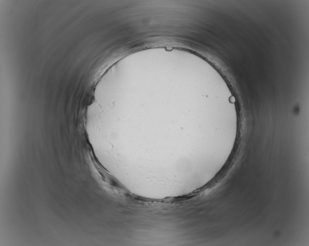 X0000116140905201001041030