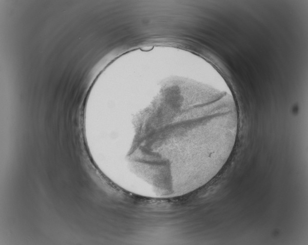 X0000116140907201001041030