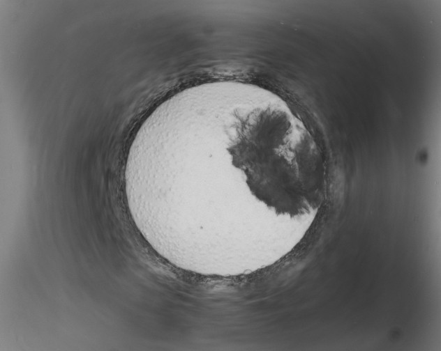 X0000116140913201001041029