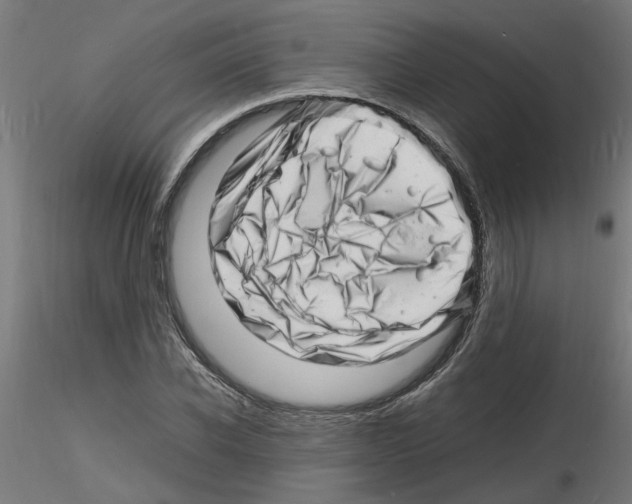 X0000116140926201001041029