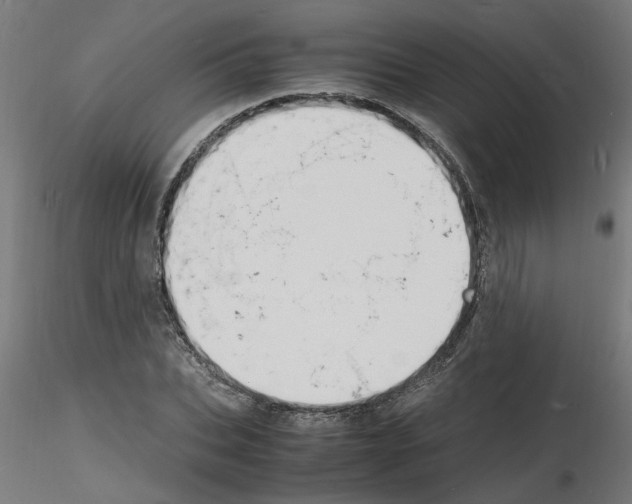 X0000116140927201001041029