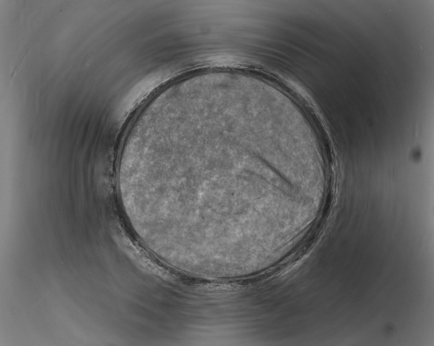 X0000116140930201001041029