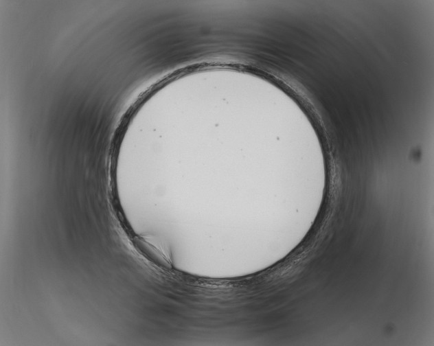 X0000116140935201001041029