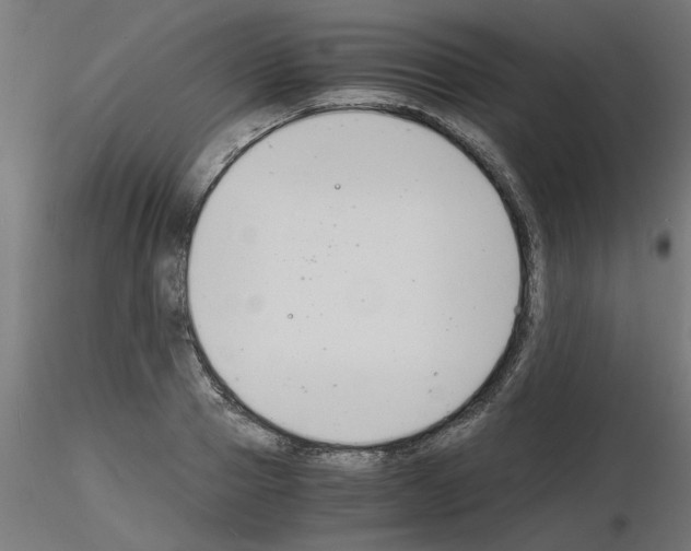 X0000116140937201001041029