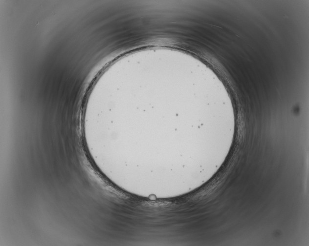 X0000116140939201001041029