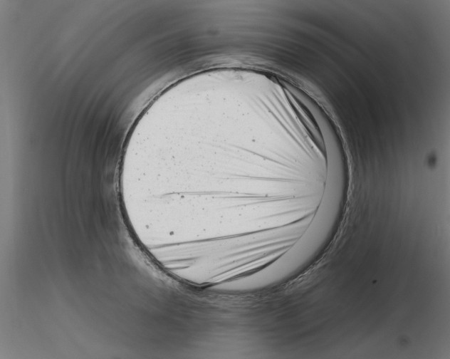 X0000116140946201001041029