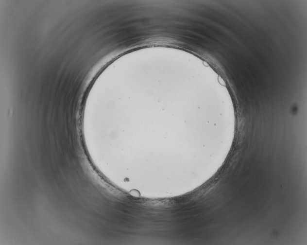 X0000116140947201001041029