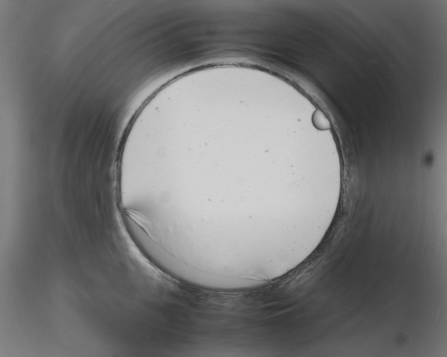 X0000116140951201001041029