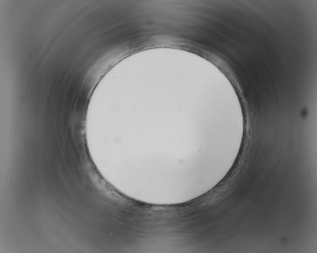 X0000116140954201001041030