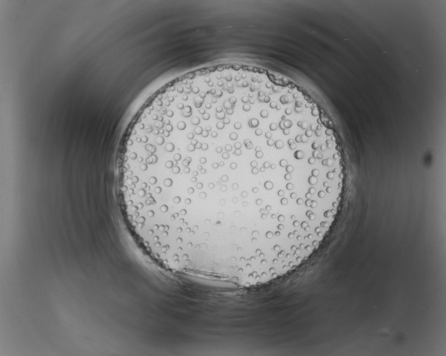 X0000116140955201001041030