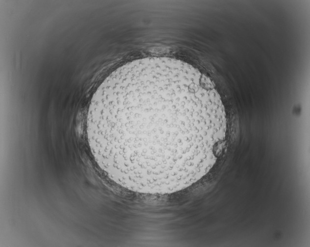 X0000116140962201001041029