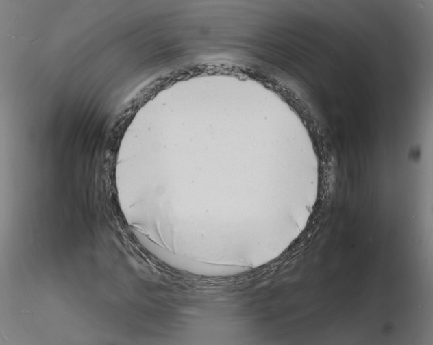 X0000116140968201001041029