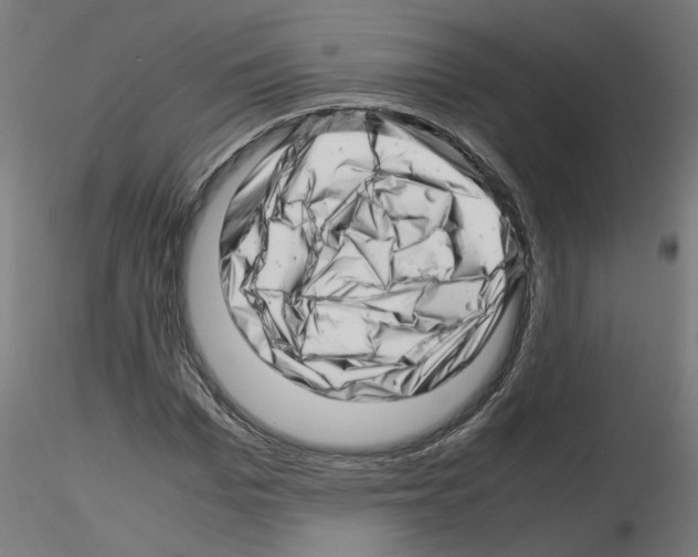 X0000116140969201001041029