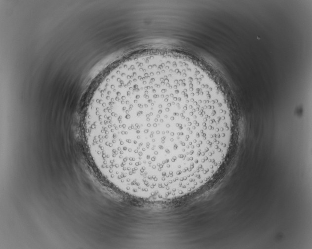 X0000116140970201001041029