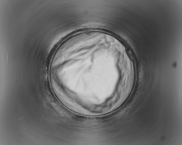 X0000116140973201001041029