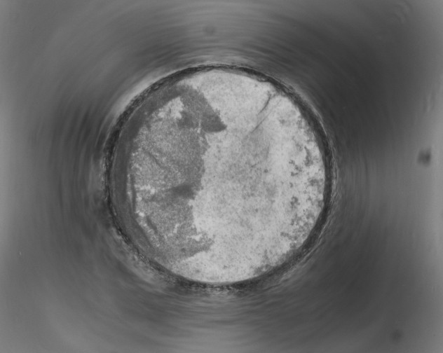 X0000116140975201001041029