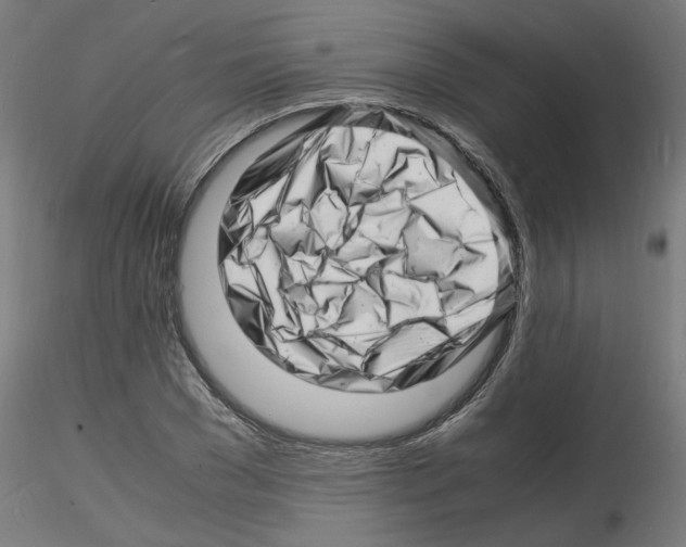 X0000116140977201001041029