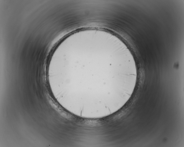 X0000116140982201001041029