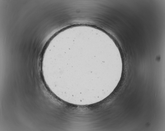 X0000116140983201001041029