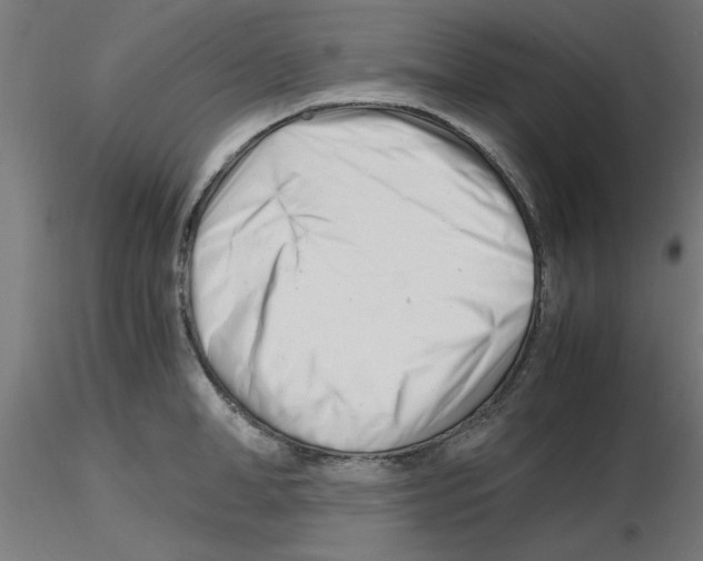 X0000116140998201001041028